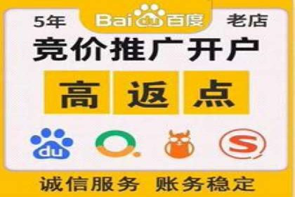SEM广告投放的竞价策略与效果评估案例